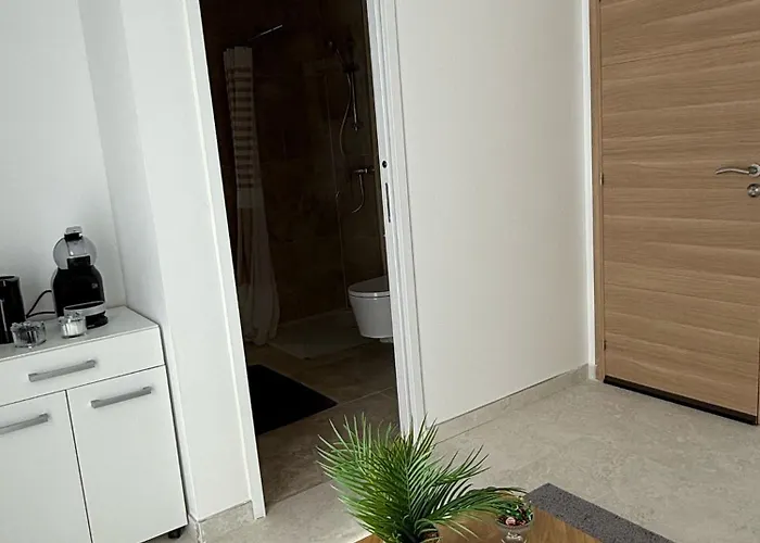 Exceptionnel Versailles * Rocquencourt